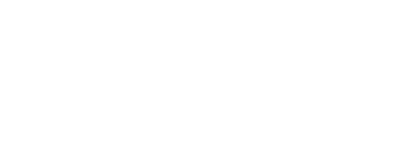 Grupo Alseg